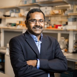 Srinivas Vinod Saladi