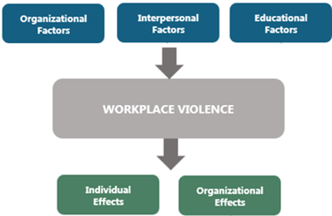 This diagram illustrates factors contributing to workplace violence and its effects. At the top, three contributing factors are shown: Organizational Factors, Interpersonal Factors, and Educational Factors, which all lead to a central box labeled Workplace Violence. Two arrows point downward from workplace violence, showing its outcomes divided into two categories: Individual Effects and Organizational Effects. The design uses distinct color blocks and directional arrows to emphasize the flow from contributing factors to the consequences of workplace violence.