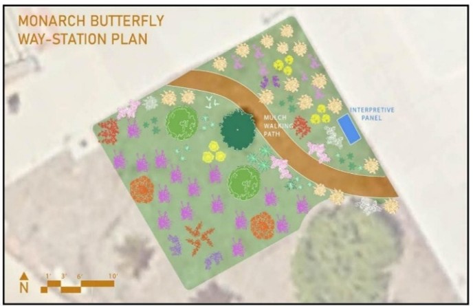 This image shows a landscape design plan titled “Monarch Butterfly Way-Station Plan.” The layout includes a curved mulch walking path that runs through a garden filled with various flowerbeds arranged in different colors and patterns to attract butterflies. Key features include clusters of plants, circular groupings, and an interpretive panel located on the right side to provide educational information. The design emphasizes creating a habitat that supports monarch butterflies while offering an engaging space for visitors.